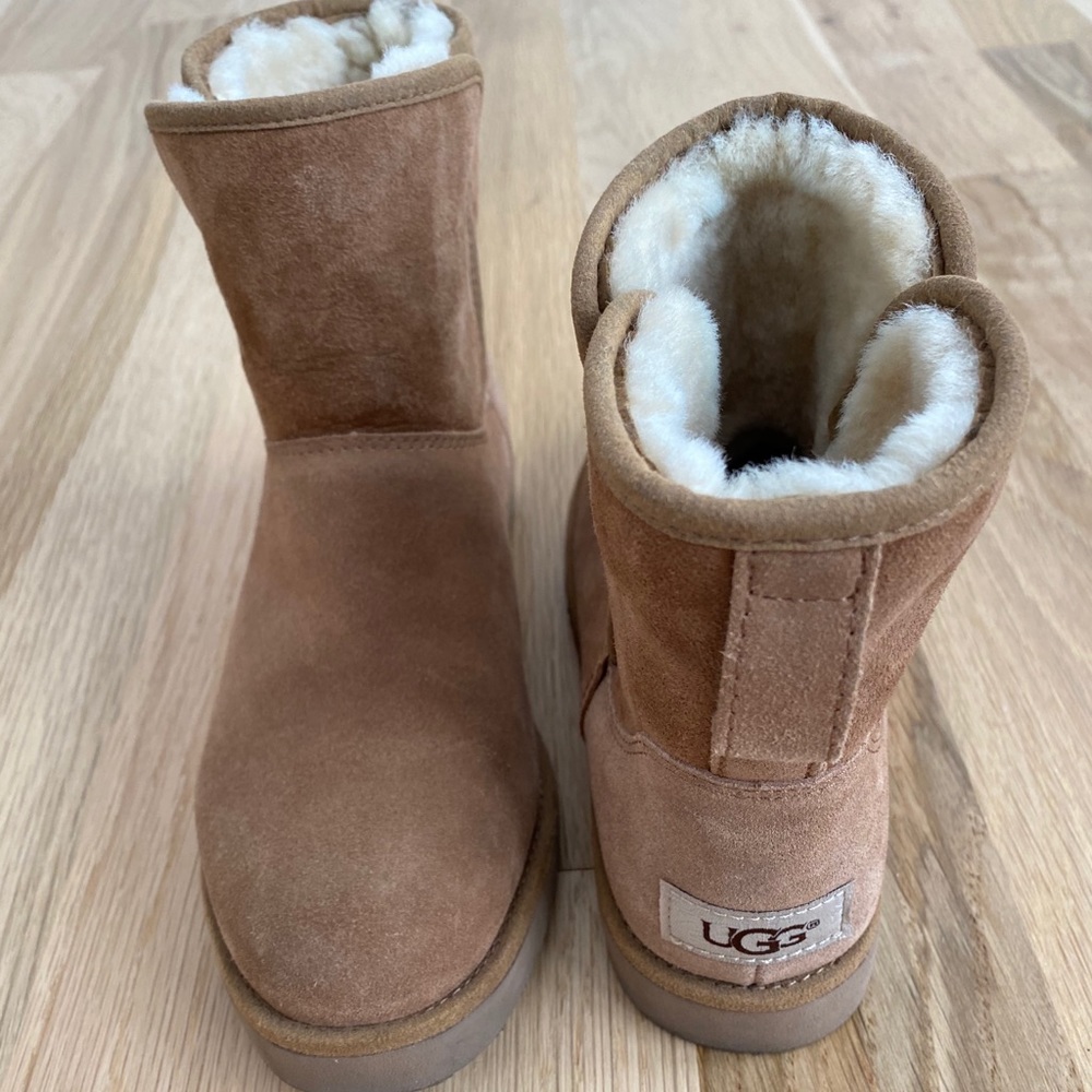 UGG Chestnut Mini